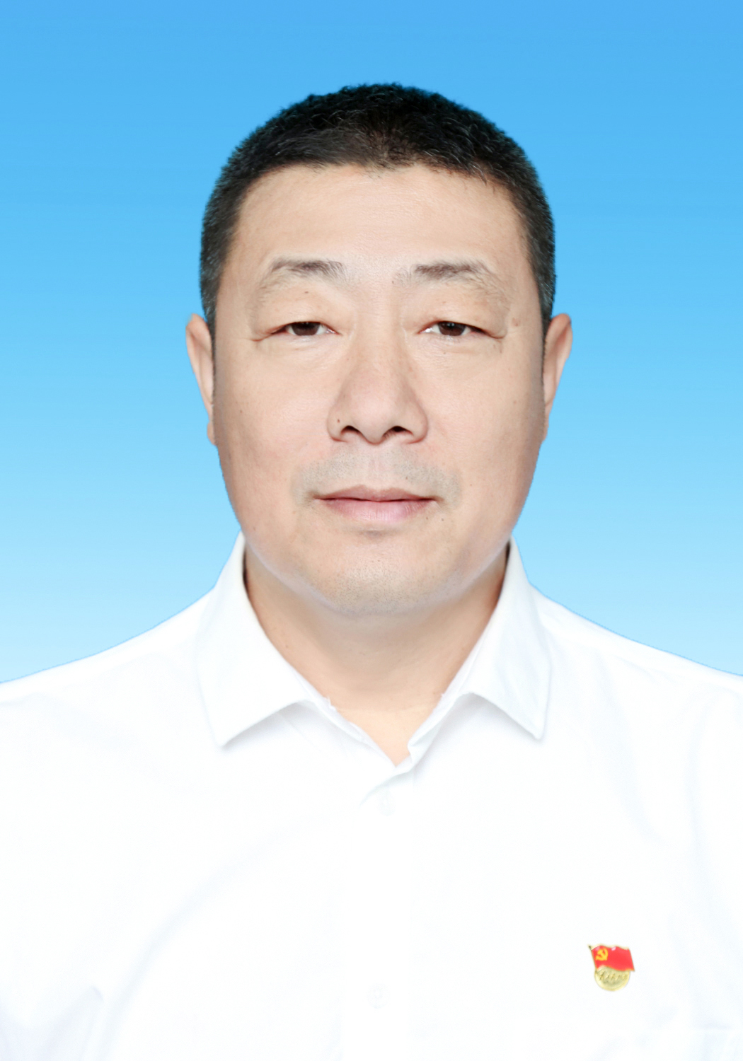 85C31